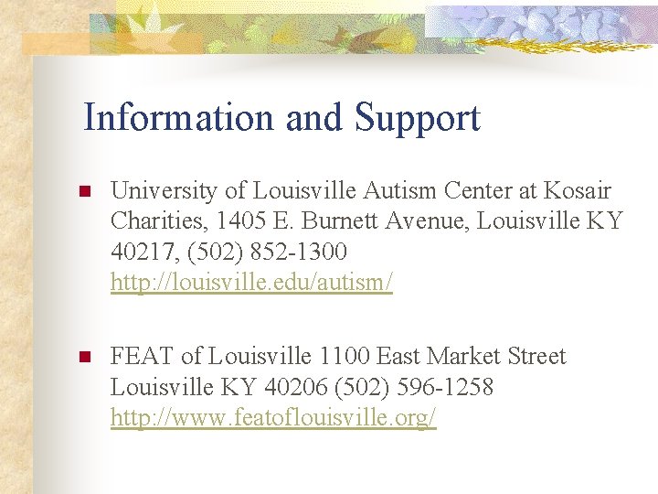 Information and Support n University of Louisville Autism Center at Kosair Charities, 1405 E.