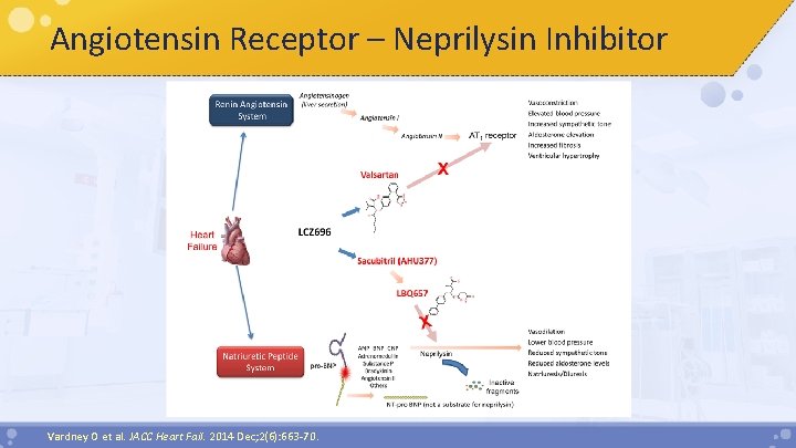 Angiotensin Receptor – Neprilysin Inhibitor Vardney O et al. JACC Heart Fail. 2014 Dec;