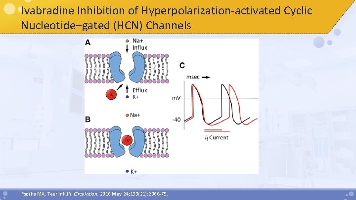 Ivabradine Inhibition of Hyperpolarization-activated Cyclic Nucleotide–gated (HCN) Channels Psotka MA, Teerlink JR. Circulation. 2016