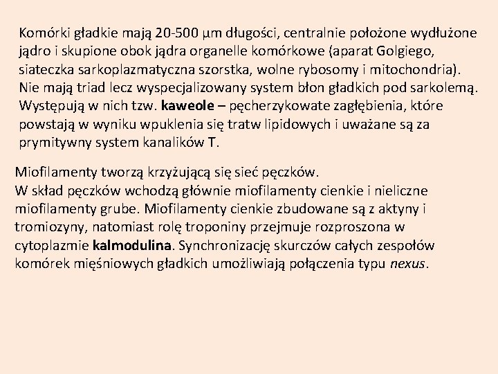 Komórki gładkie mają 20 -500 µm długości, centralnie położone wydłużone jądro i skupione obok