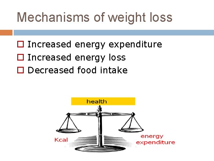Mechanisms of weight loss o Increased energy expenditure o Increased energy loss o Decreased