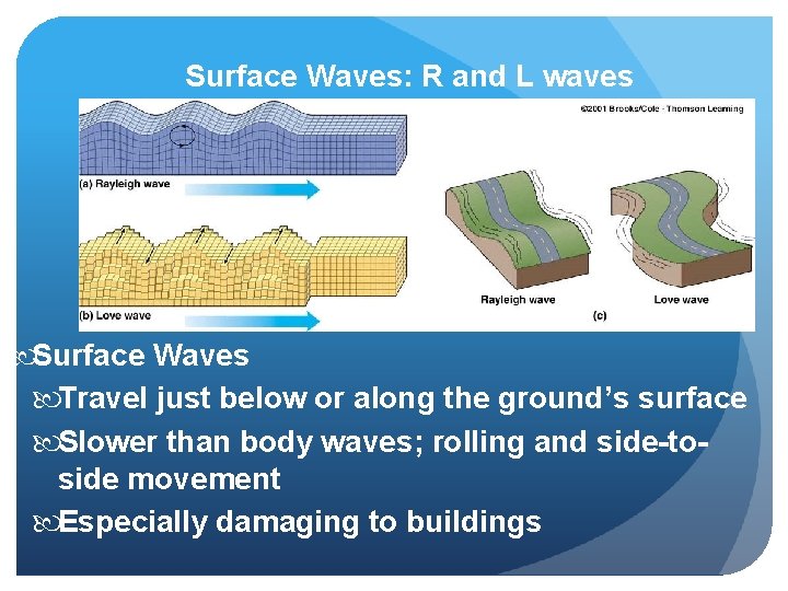 Surface Waves: R and L waves Surface Waves Travel just below or along the