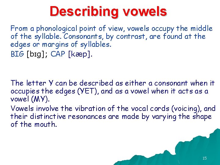Describing vowels From a phonological point of view, vowels occupy the middle of the