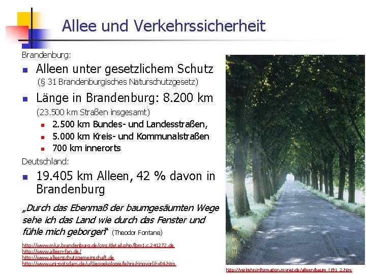  Allee und Verkehrssicherheit Brandenburg: n Alleen unter gesetzlichem Schutz (§ 31 Brandenburgisches Naturschutzgesetz)