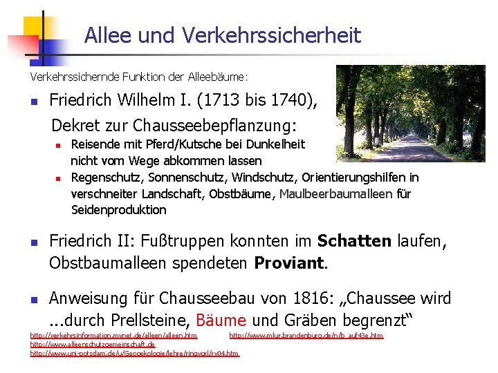  Allee und Verkehrssicherheit Verkehrssichernde Funktion der Alleebäume: n Friedrich Wilhelm I. (1713 bis