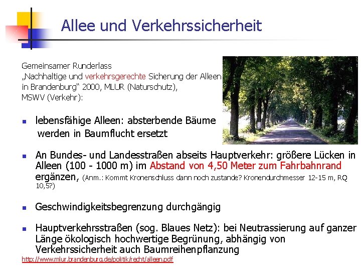  Allee und Verkehrssicherheit Gemeinsamer Runderlass „Nachhaltige und verkehrsgerechte Sicherung der Alleen in Brandenburg“