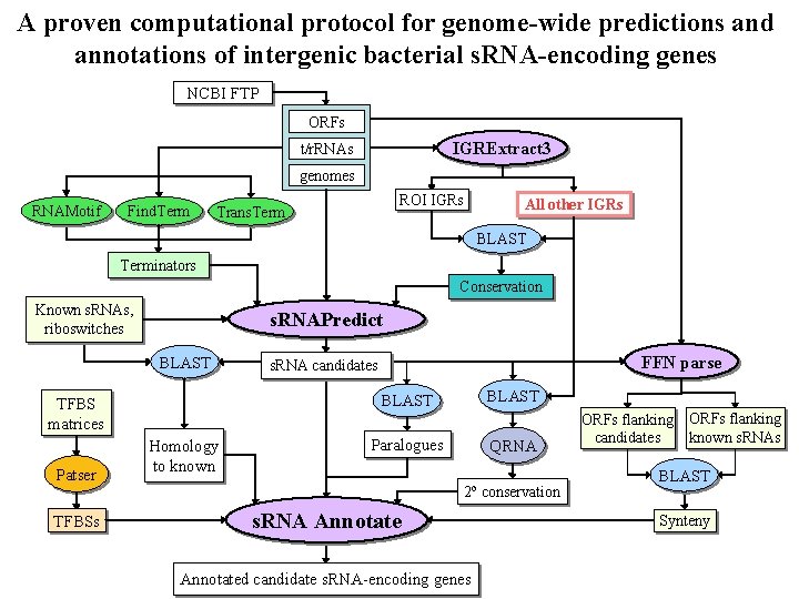 A proven computational protocol for genome-wide predictions and annotations of intergenic bacterial s. RNA-encoding