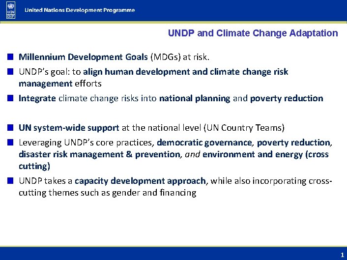 UNDP and Climate Change Adaptation Millennium Development Goals (MDGs) at risk. UNDP’s goal: to
