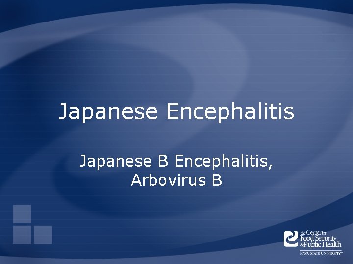 Japanese Encephalitis Japanese B Encephalitis, Arbovirus B 