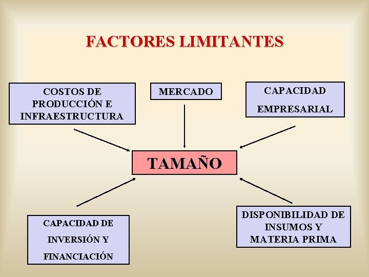 FACTORES LIMITANTES COSTOS DE PRODUCCIÓN E INFRAESTRUCTURA MERCADO CAPACIDAD EMPRESARIAL TAMAÑO CAPACIDAD DE INVERSIÓN