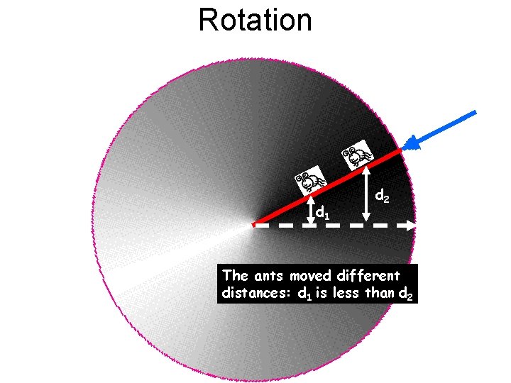 Rotation d 1 d 2 The ants moved different distances: d 1 is less