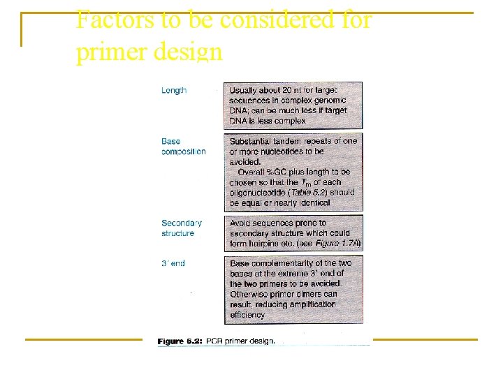 Factors to be considered for primer design 