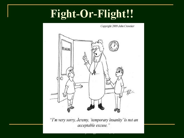 Fight-Or-Flight!! ©John Wiley & Sons, Inc. 2007 Huffman: Psychology in Action (8 e) 