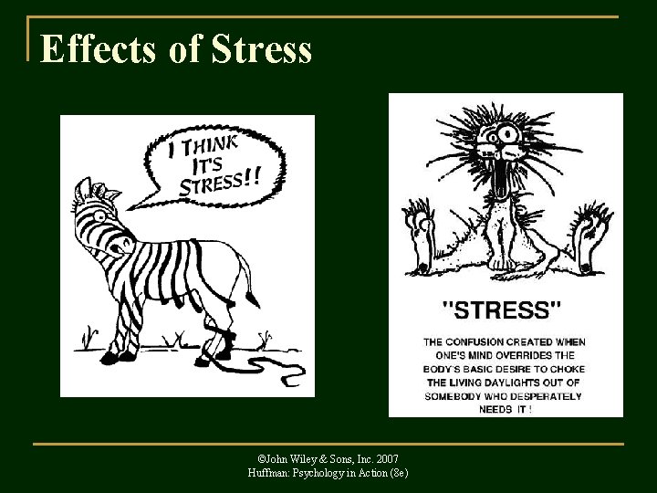 Effects of Stress ©John Wiley & Sons, Inc. 2007 Huffman: Psychology in Action (8