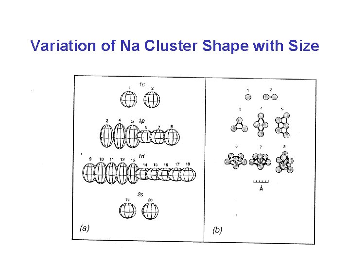 Variation of Na Cluster Shape with Size 