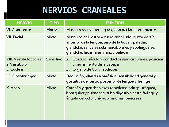 NERVIOS CRANEALES NERVIO TIPO FUNCIÓN VI. Abducente Motor Músculo recto lateral gira globo ocular