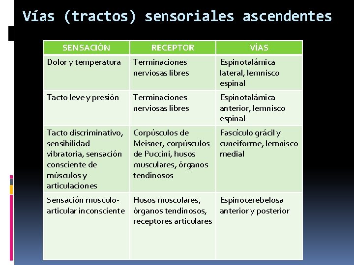 Vías (tractos) sensoriales ascendentes SENSACIÓN RECEPTOR VÍAS Dolor y temperatura Terminaciones nerviosas libres Espinotalámica