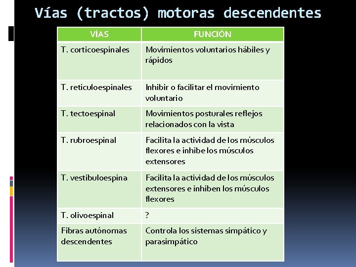 Vías (tractos) motoras descendentes VÍAS FUNCIÓN T. corticoespinales Movimientos voluntarios hábiles y rápidos T.