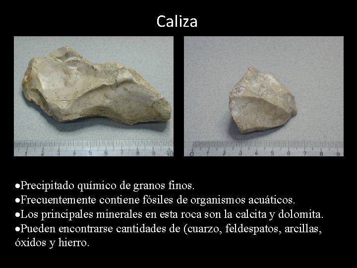 Caliza Precipitado químico de granos finos. Frecuentemente contiene fósiles de organismos acuáticos. Los principales