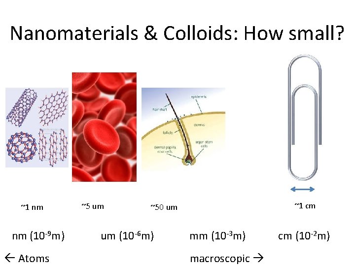 Nanomaterials & Colloids: How small? ~1 nm nm (10 -9 m) Atoms ~5 um