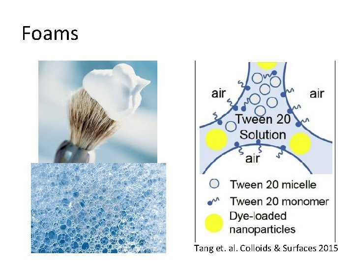 Foams Tang et. al. Colloids & Surfaces 2015 