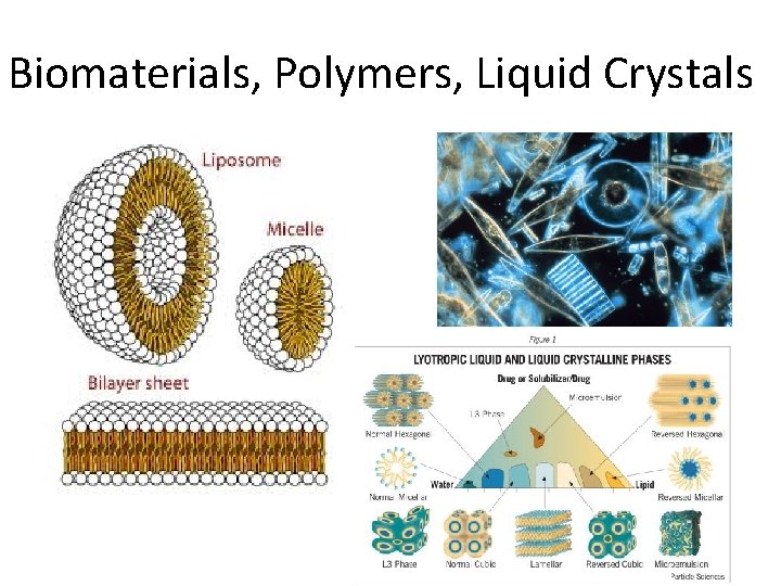 Biomaterials, Polymers, Liquid Crystals 