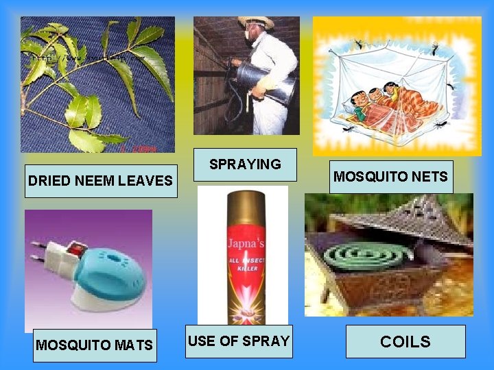 SPRAYING DRIED NEEM LEAVES MOSQUITO MATS USE OF SPRAY MOSQUITO NETS COILS 