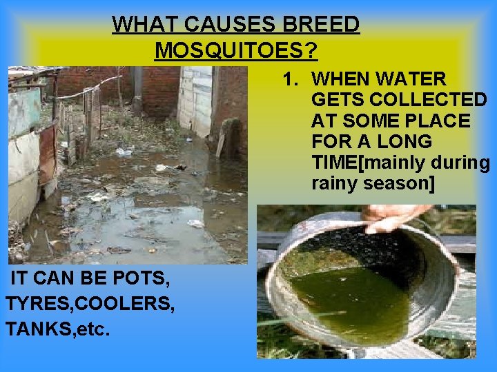 WHAT CAUSES BREED MOSQUITOES? 1. WHEN WATER GETS COLLECTED AT SOME PLACE FOR A