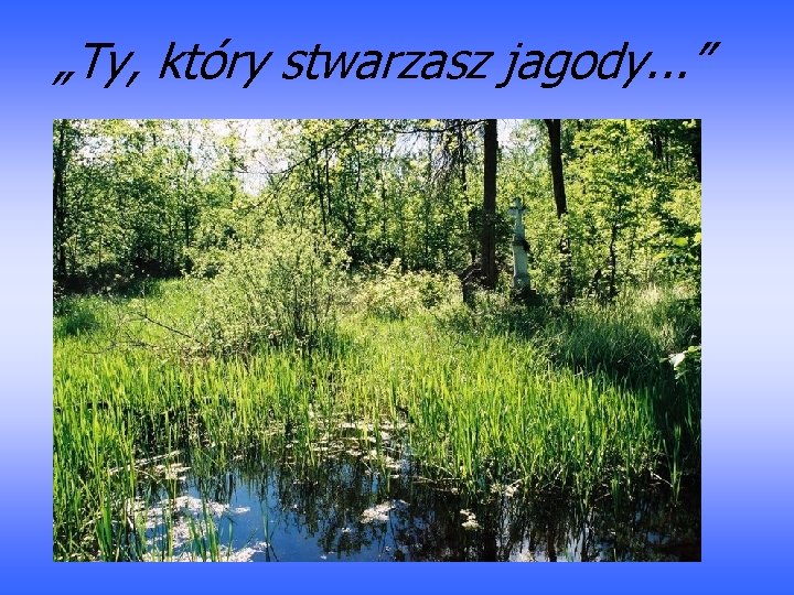 „Ty, który stwarzasz jagody. . . ” 