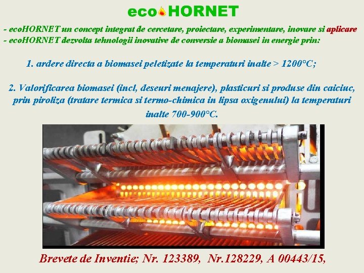 - eco. HORNET un concept integrat de cercetare, proiectare, experimentare, inovare si aplicare -