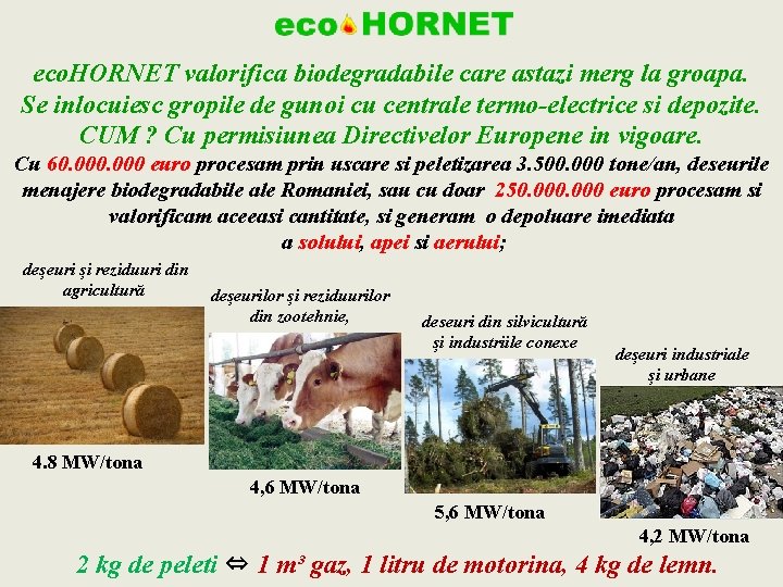  eco. HORNET valorifica biodegradabile care astazi merg la groapa. Se inlocuiesc gropile de