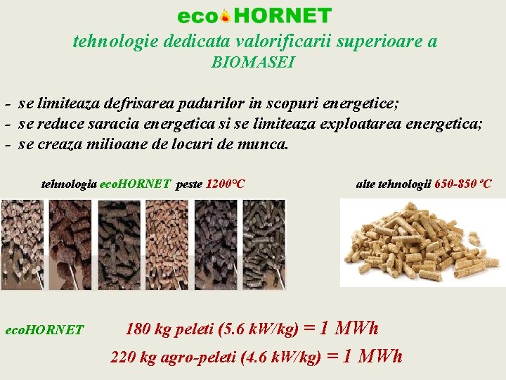  tehnologie dedicata valorificarii superioare a BIOMASEI - se limiteaza defrisarea padurilor in scopuri