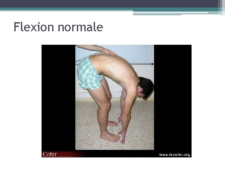 Flexion normale 