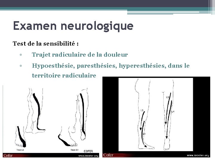 Examen neurologique Test de la sensibilité : ▫ Trajet radiculaire de la douleur ▫