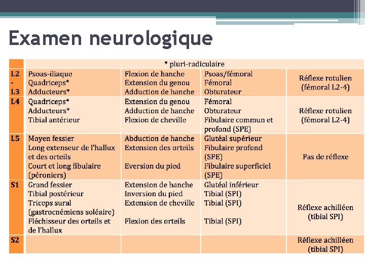 Examen neurologique 