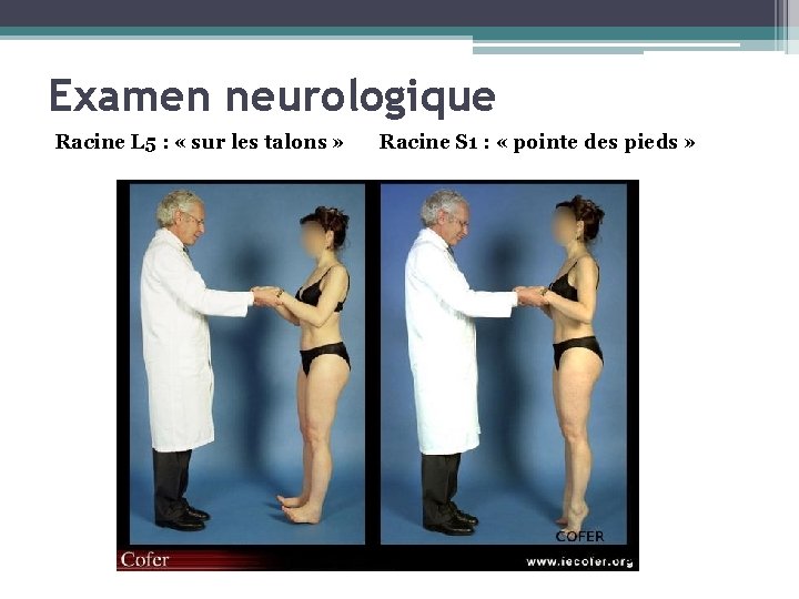 Examen neurologique Racine L 5 : « sur les talons » Racine S 1