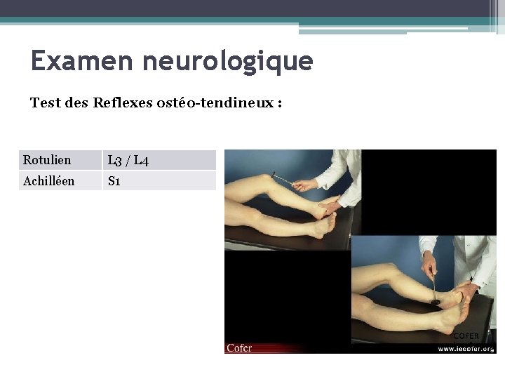 Examen neurologique Test des Reflexes ostéo-tendineux : Rotulien L 3 / L 4 Achilléen