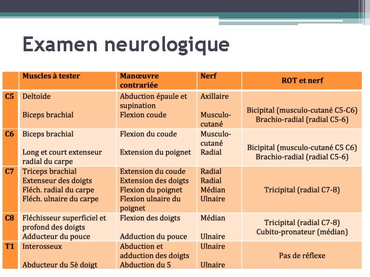 Examen neurologique 