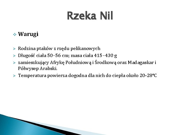 Rzeka Nil v Ø Ø Warugi Rodzina ptaków z rzędu pelikanowych Długość ciała 50–