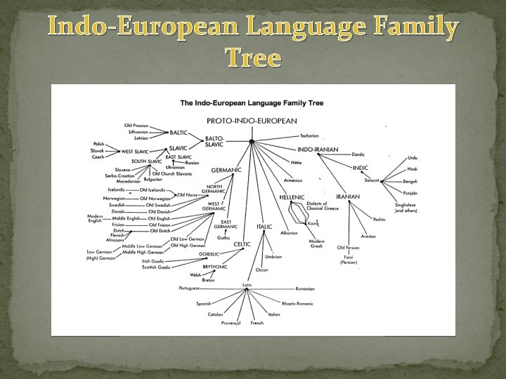 Indo-European Language Family Tree Indo-European Language Family Tree