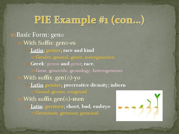 PIE Example #1 (con…) Basic Form: genƏ With Suffix: genƏ-es Latin: genus; race and PIE Example #1 (con…) Basic Form: genƏ With Suffix: genƏ-es Latin: genus; race and