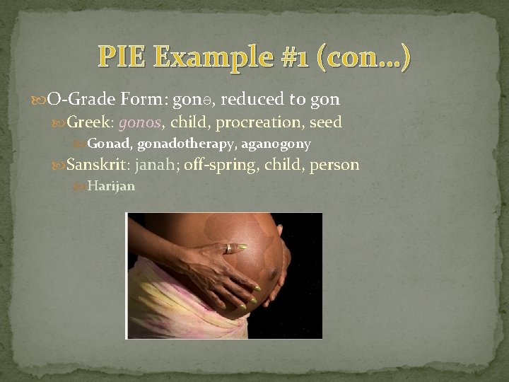 PIE Example #1 (con…) O-Grade Form: gonƏ, reduced to gon Greek: gonos, child, procreation, PIE Example #1 (con…) O-Grade Form: gonƏ, reduced to gon Greek: gonos, child, procreation,