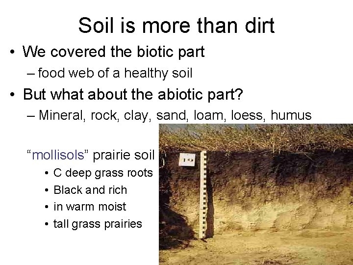 Soil is more than dirt • We covered the biotic part – food web