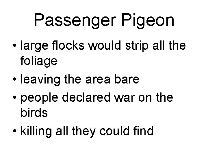 Passenger Pigeon • large flocks would strip all the foliage • leaving the area