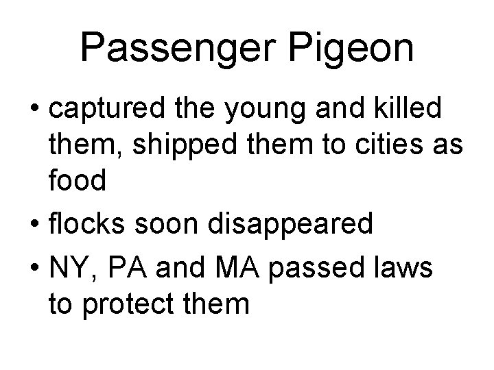 Passenger Pigeon • captured the young and killed them, shipped them to cities as