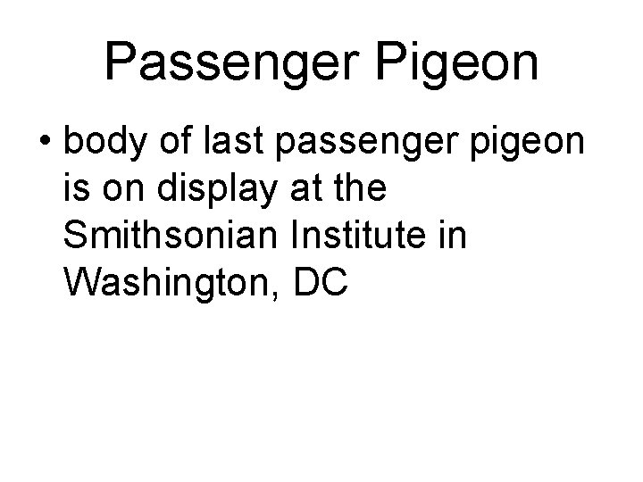Passenger Pigeon • body of last passenger pigeon is on display at the Smithsonian