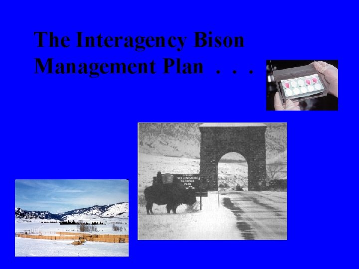 The Interagency Bison Management Plan. . . 