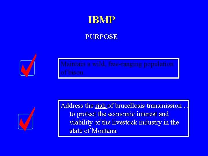 IBMP PURPOSE Maintain a wild, free-ranging population of bison. Address the risk of brucellosis