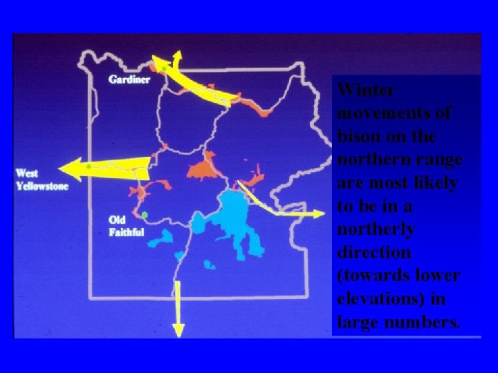 Winter movements of bison on the northern range are most likely to be in Winter movements of bison on the northern range are most likely to be in