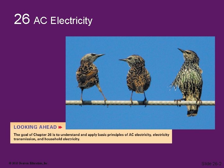 26 AC Electricity © 2010 Pearson Education, Inc. Slide 26 -2 26 AC Electricity © 2010 Pearson Education, Inc. Slide 26 -2
